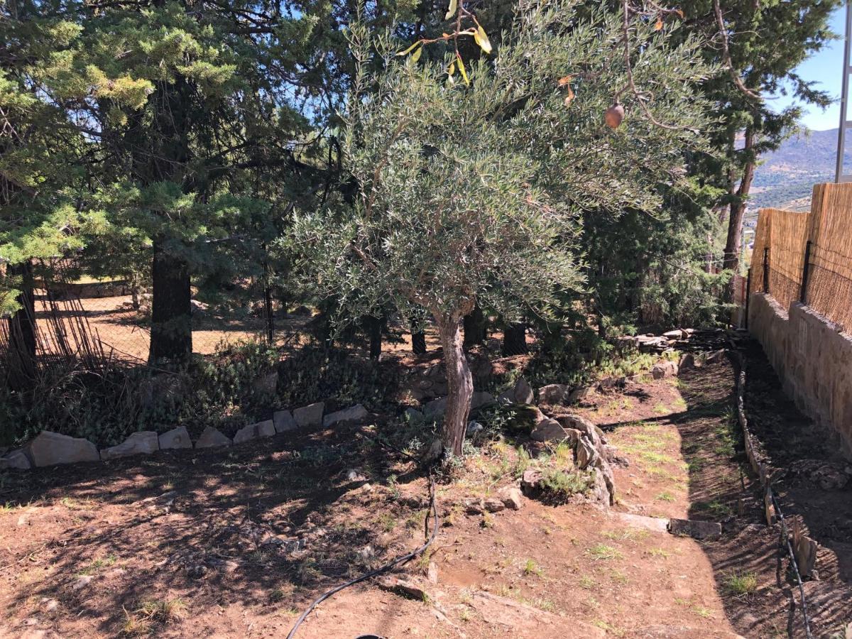 Casa Rural Los Olivos De Robledo De Chavela La Estacion Eksteriør bilde