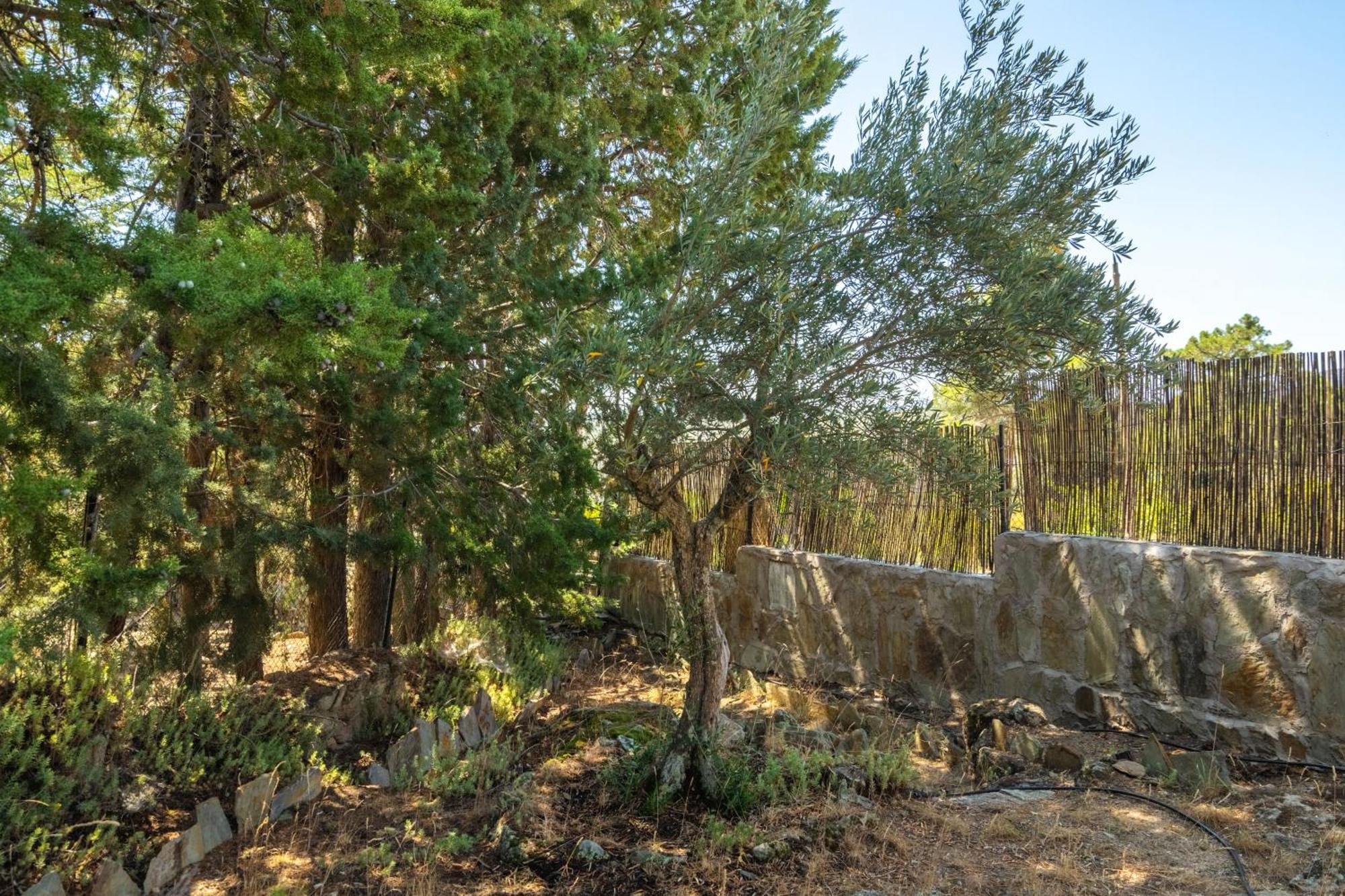 Casa Rural Los Olivos De Robledo De Chavela La Estacion Eksteriør bilde